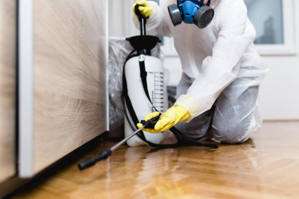 Best Local Pest Control Services  in Ofallon, MO