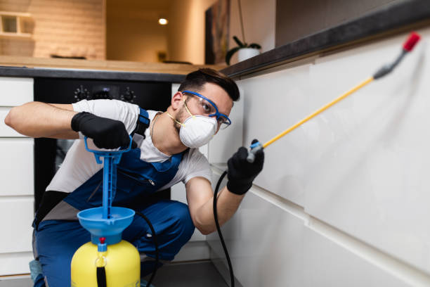 Best Pest Control Near Me  in Ofallon, MO