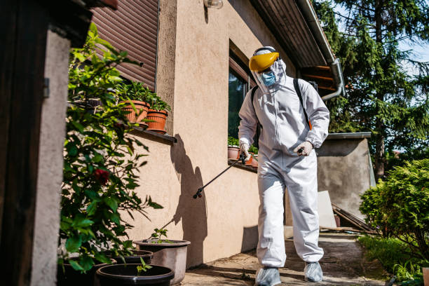 Best Flea Control Services  in Ofallon, MO