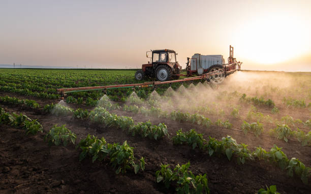 Best Ant Control Services  in Ofallon, MO
