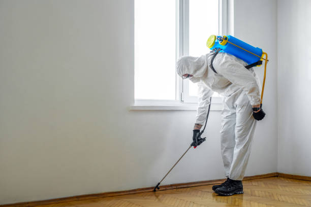 Best Best Pest Control Companies  in Ofallon, MO