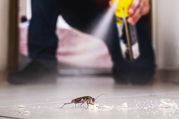 Ofallon, MO Pest Control Company